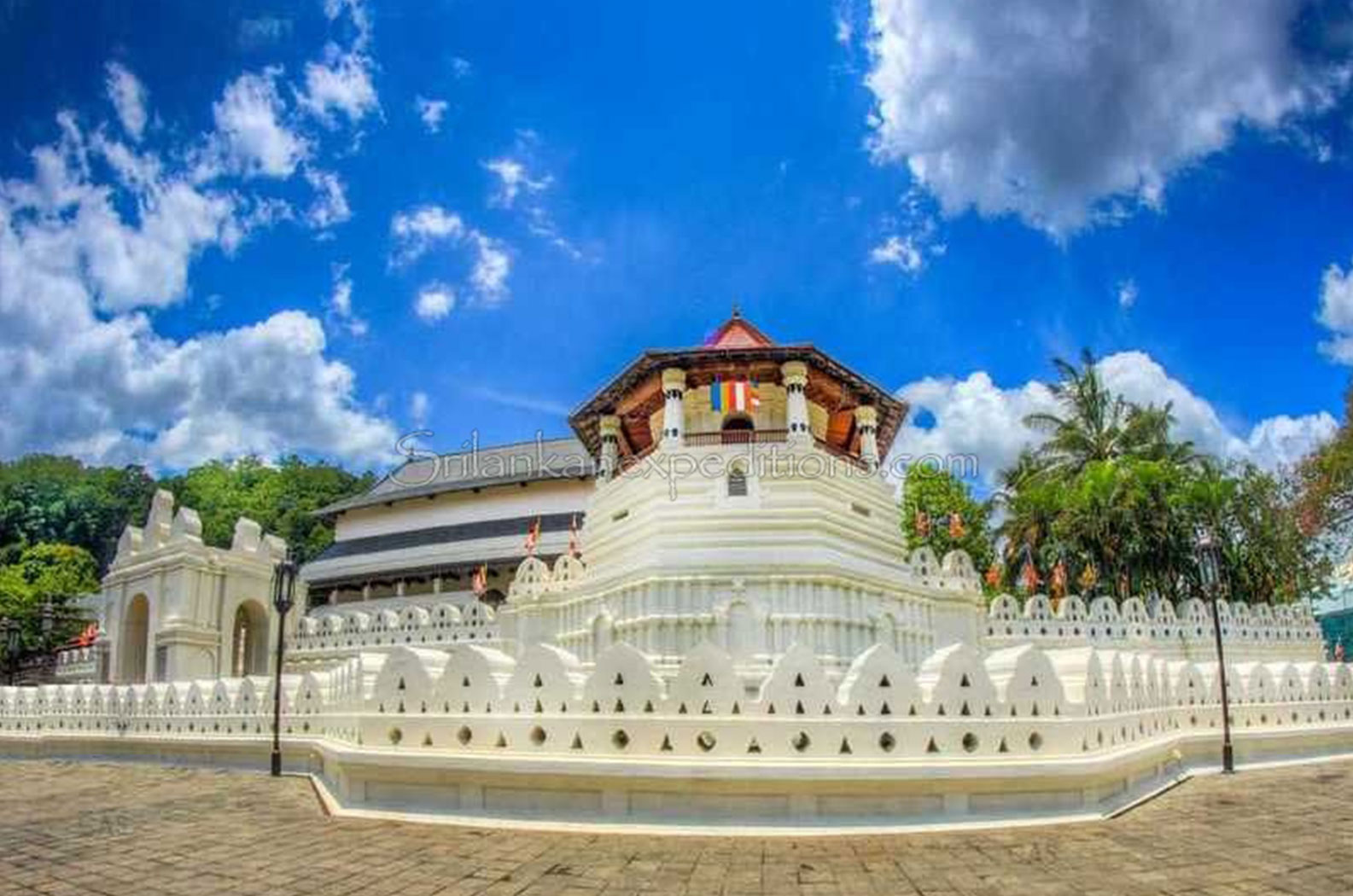 Photo Gallery | Bellwood Hills Resort & Spa – Moragolla, Sri Lanka