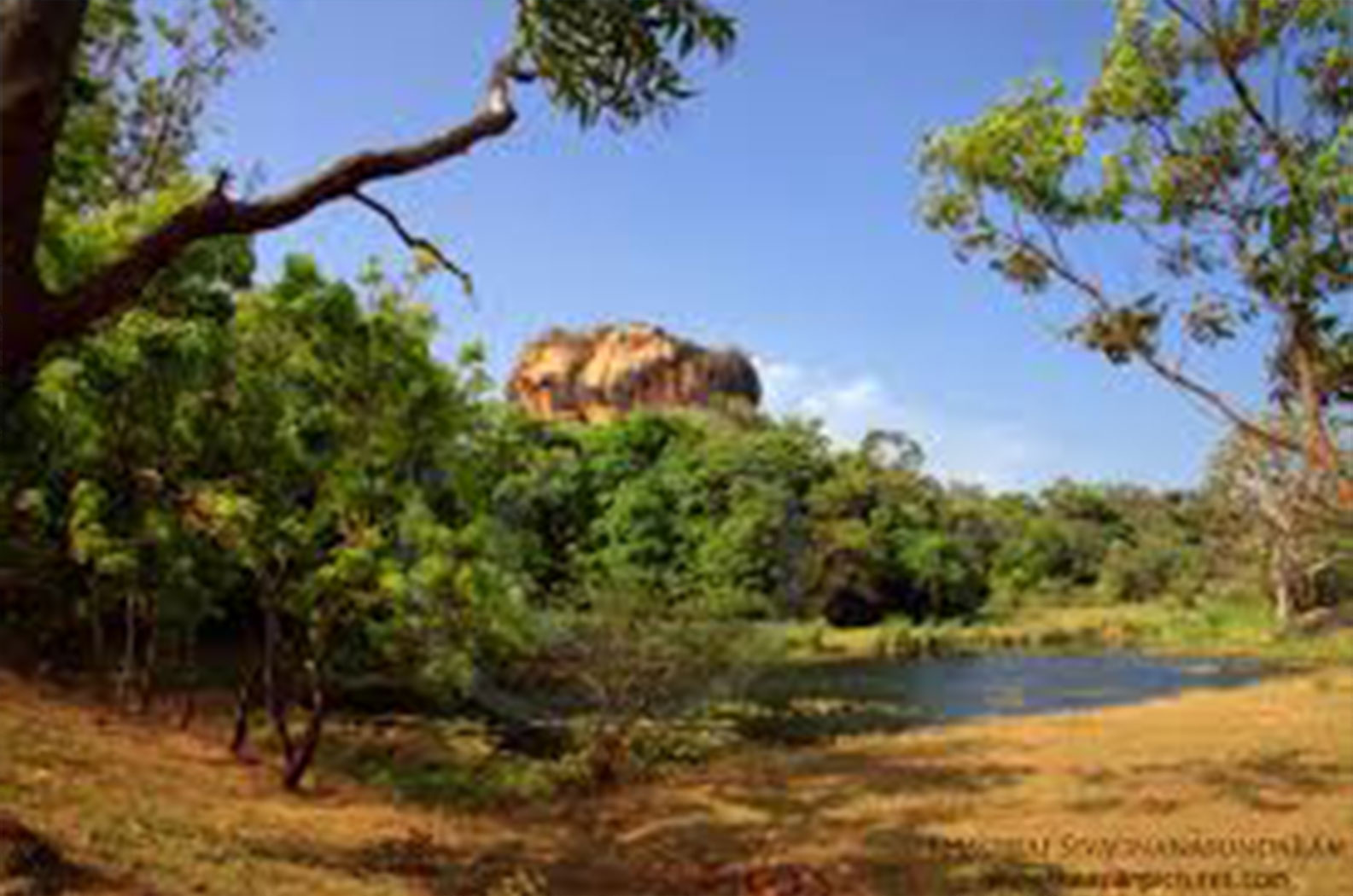 Photo Gallery | Bellwood Hills Resort & Spa – Moragolla, Sri Lanka