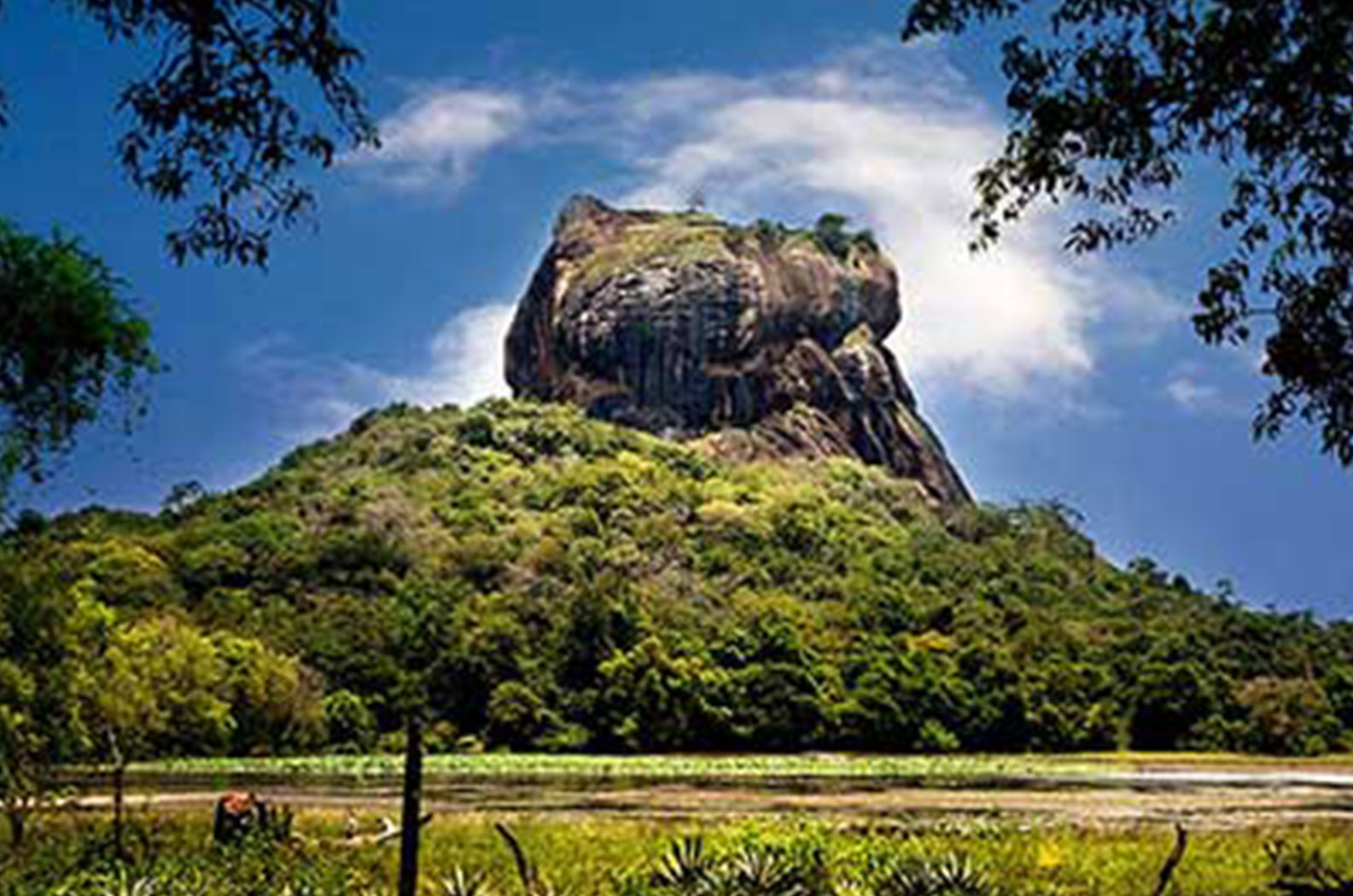 Photo Gallery | Bellwood Hills Resort & Spa – Moragolla, Sri Lanka